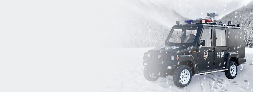 寒冷環境，電池穩定，動力強勁，行駛安全。23項專項設計，冬季更適用。